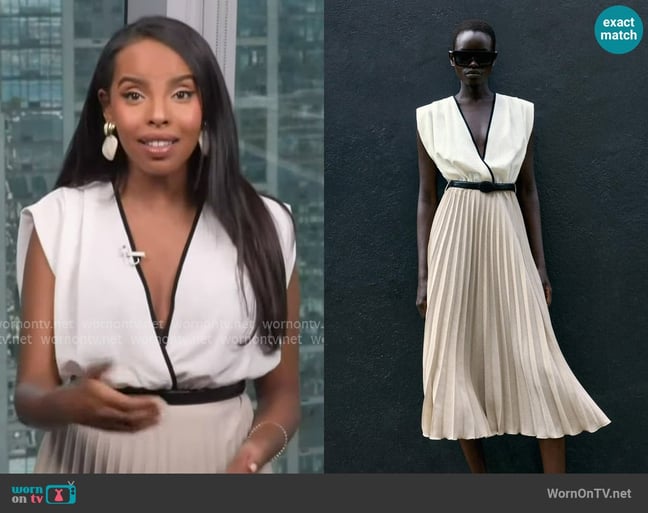 Mona's Zara dress