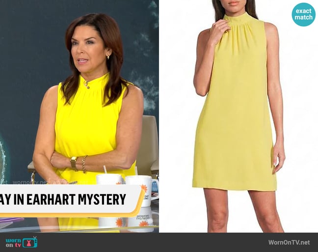 Alex Marie Chiara Mock Neck Sleeveless Crepe Dress in Daffodil worn by Meg Oliver on CBS Mornings Alex Marie Chiara Mock Neck Sleeveless Crepe Dress in Daffodil worn by Meg Oliver on CBS Mornings