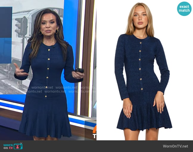 Alexia Admor Finlo Crewneck Fit And Flare Flounce Dress worn by Adelle Caballero on Today Alexia Admor Finlo Crewneck Fit And Flare Flounce Dress worn by Adelle Caballero on Today