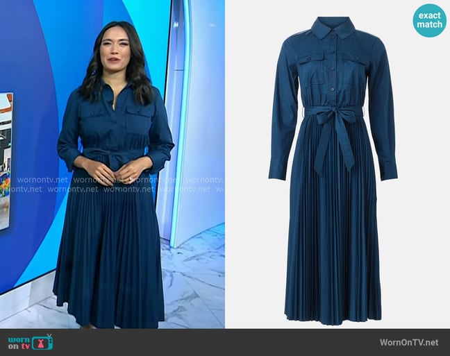 Emilie's Derek Lam 10 Crosby dress