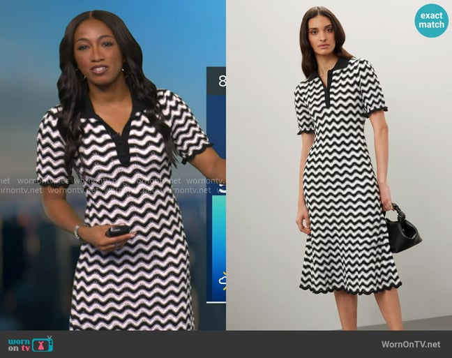 Brittany's Derek Lam 10 Crosby dress Brittany's Derek Lam 10 Crosby dress