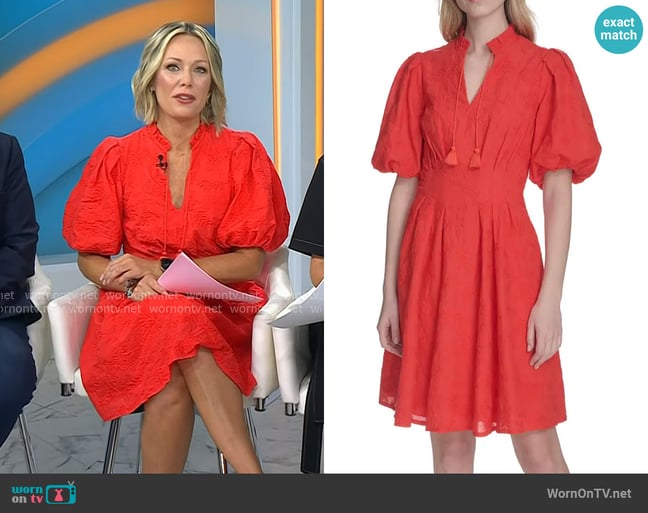 Eliza J Floral Embroidered Puff Sleeve Cotton Fit & Flare Dress worn by Dylan Dreyer on Today Eliza J Floral Embroidered Puff Sleeve Cotton Fit & Flare Dress worn by Dylan Dreyer on Today