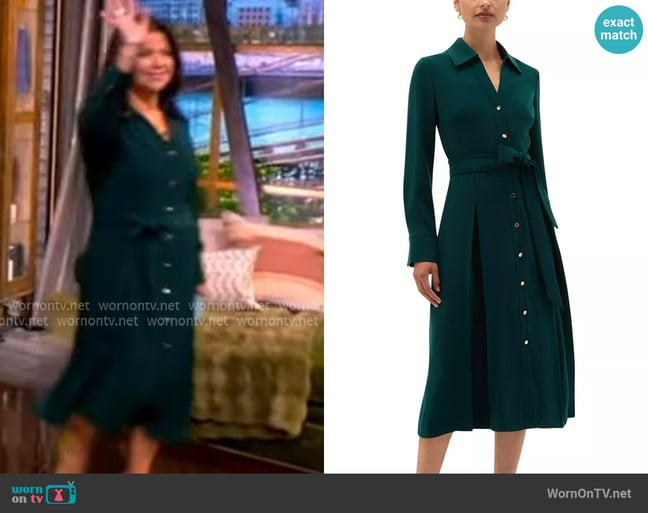 Hobbs Mylie Pleated Button Front Dress worn by Ana Navarro on The View