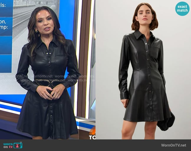 Adelle's Jason Wu dress