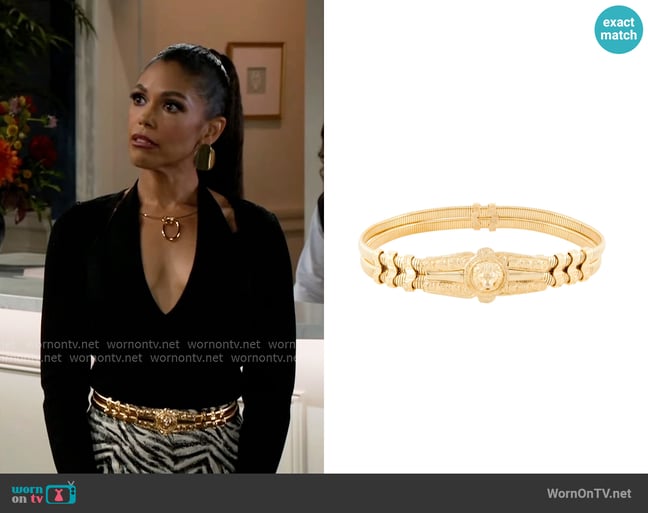 Judith Leiber Lion Belt worn by Dani Dupree (Karla Mosley) on Beyond the Gates Judith Leiber Lion Belt worn by Dani Dupree (Karla Mosley) on Beyond the Gates