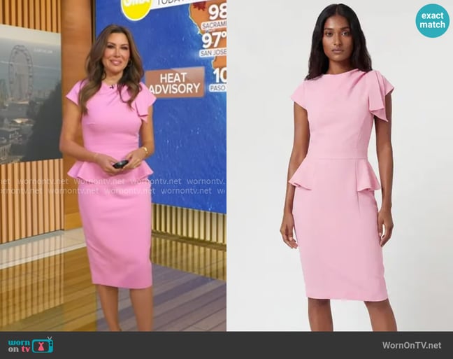 Leslie's Karen Millen dress Leslie's Karen Millen dress
