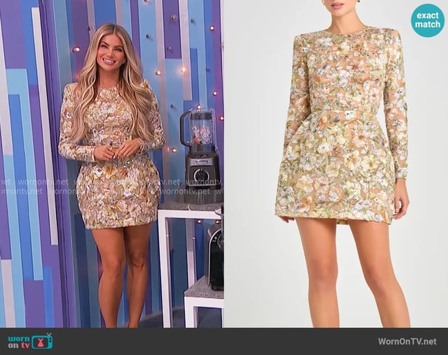 Amber's Nadine Merabi dress
