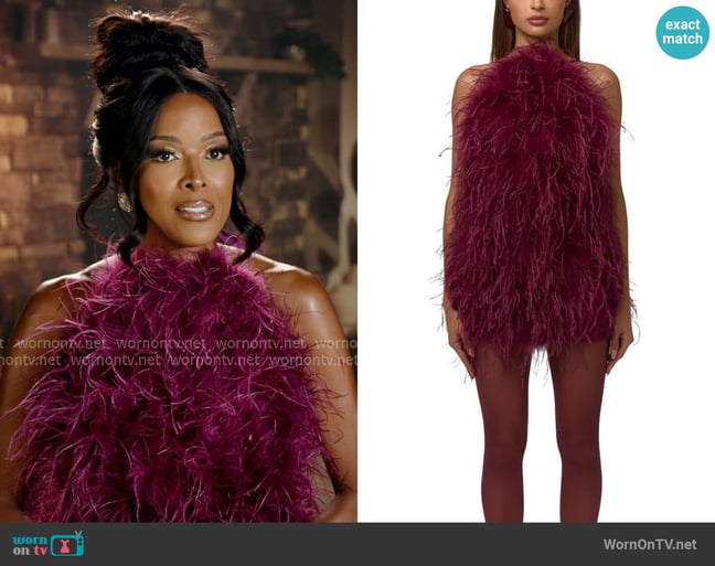 Naked Wardrobe Feather Minidress worn by Stacey Rusch on The Real Housewives of Potomac Naked Wardrobe Feather Minidress worn by Stacey Rusch on The Real Housewives of Potomac