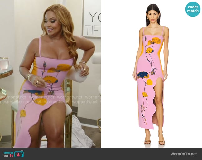 PH5 Iris Flower Print Maxi Tank Dress worn by Gizelle Bryant on The Real Housewives of Potomac