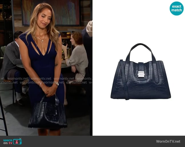 Lily's Radley London bag Lily's Radley London bag