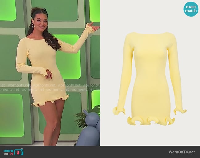 Alexis's SAME dress