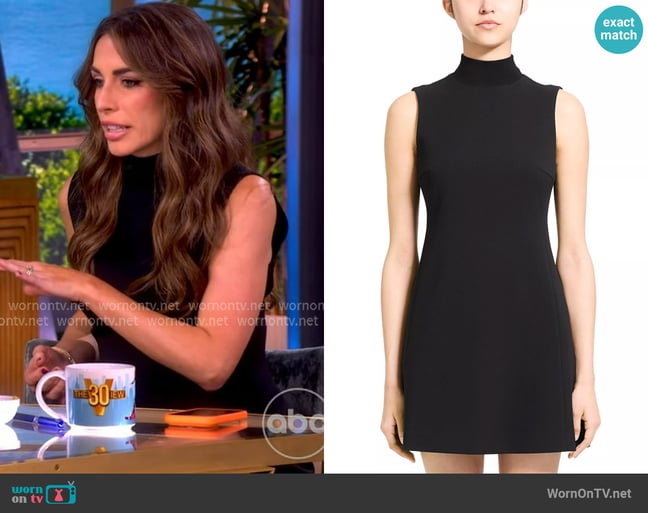 Alyssa's Theory dress Alyssa's Theory dress