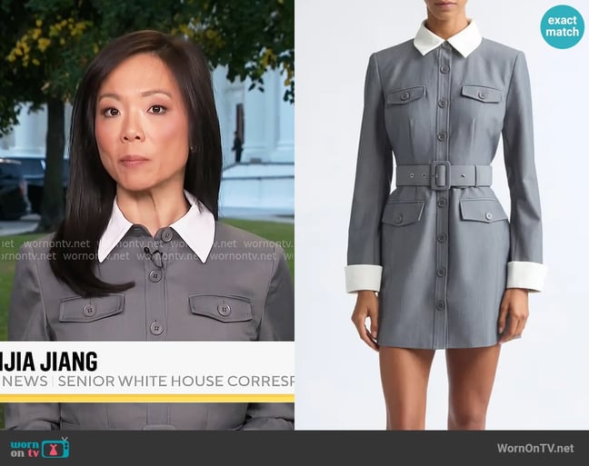 Weijia Jiang's Toccin dress Weijia Jiang's Toccin dress