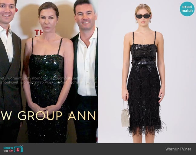 Valentino Vintage FW 2001 Feather Beaded Dress worn by Carole Radziwill on The Real Housewives of New York City Valentino Vintage FW 2001 Feather Beaded Dress worn by Carole Radziwill on The Real Housewives of New York City