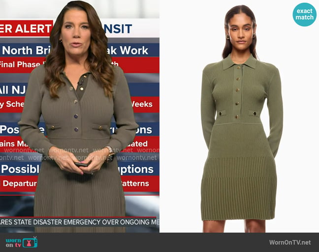 Heather's Veronica Beard dress Heather's Veronica Beard dress