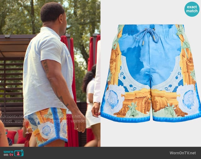 Versace Affresco-Print Swim Trunks worn by Eric Cropper (Durrel Babbs) on Reasonable Doubt Versace Affresco-Print Swim Trunks worn by Eric Cropper (Durrel Babbs) on Reasonable Doubt