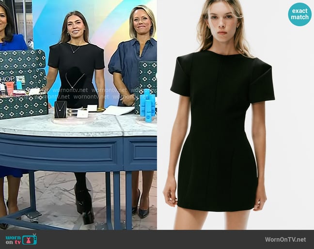 Melissa's Zara dress