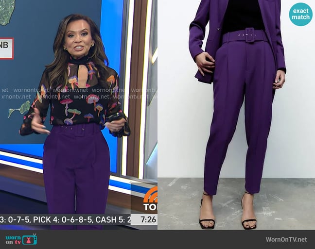 Zara Pants with Fabric Covered Belt worn by Adelle Caballero on Today