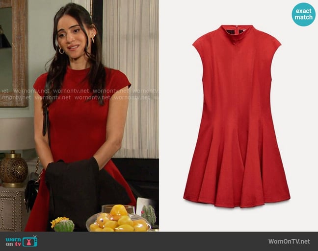 Gabi's Zara dress