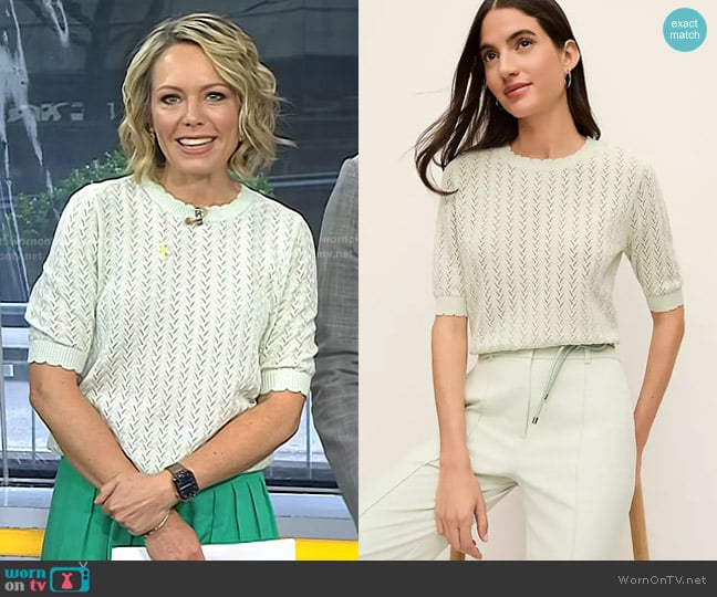 Dylan's Ann Taylor top Dylan's Ann Taylor top
