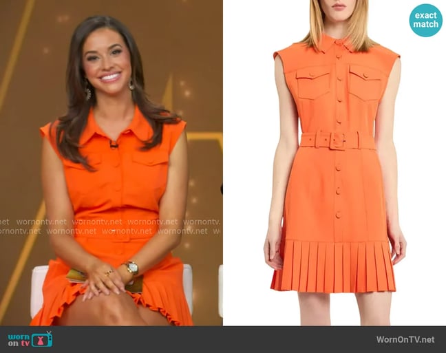 Hanna's Cinq a Sept dress Hanna's Cinq a Sept dress