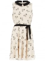 Horse print dress at Dorothy Perkins