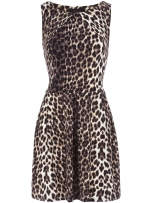 Leopard print dress like Zoes at Dorothy Perkins