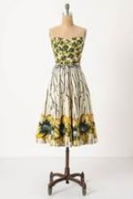 Burgeoning Hypericum Dress by Anthropologie at Anthropologie