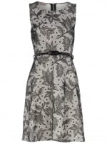 Patterned dress like Blairs at Dorothy Perkins