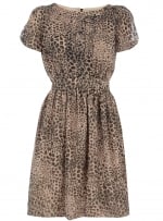 Leopard print dress like Arias at Dorothy Perkins