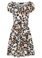 Leopard print dress like Arias at Dorothy Perkins