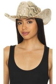 8 Other Reasons Cowboy Hat In Snakeskin at Revolve