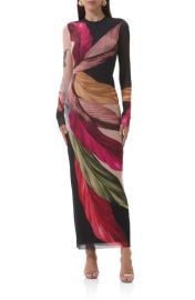 AFRM Didi Printed Long Sleeve Mesh Maxi Dress at Nordstrom