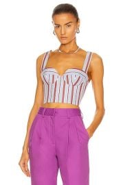 AKNVAS Corset Top in Pool  FWRD at Forward