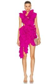 AKNVAS Olive Ruffle Dress in Hibiscus FWRD at FWRD