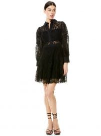 ANAYA COLLARED LACE MINI DRESS at Alice + Olivia