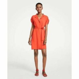 ANN TAYLOR ORANGE ROLLED SLEEVES TIE WAIST SHIFT COLLARED NECK DRESS M TALL NEW eBay at eBay