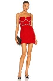 AREA Crystal Stitched Bustier Dress in Poppy  FWRD at Forward