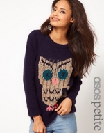 ASOS Owl sweater at Asos