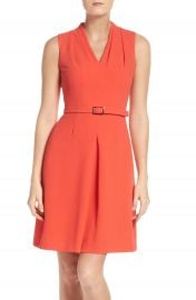 Adrianna Papell Cameron Belted Dress at Nordstrom