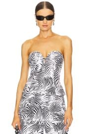 Afrm Torri Mermaid Corset Top In Zebra Print at Revolve