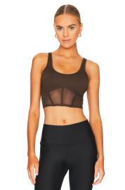 Airbrush Mesh Corset Tank at Revolve