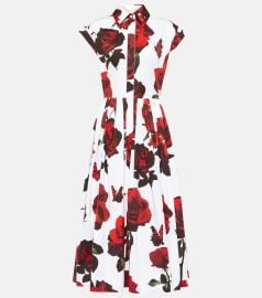 Alexander McQueen Floral Print Pleated Cap Sleeve Midi Shirtdress at Mytheresa