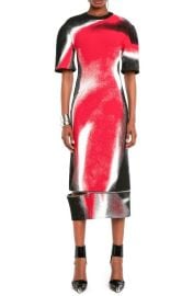 Alexander McQueen Mushroom Spore Zip Hem Midi Dress at Nordstrom