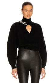 Alexander Wang Chain Link Turtleneck Sweater at FWRD