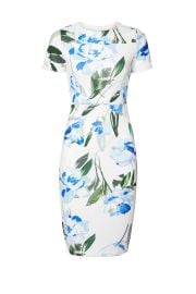 Alexia Admor Blue Floral Sheath at Rent the Runway