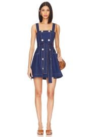 Alexis Danni Dress at Revolve