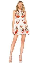 Alexis Sabella Dress In Blossom Embroidery at Revolve