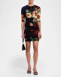 Alice Olivia Magic Garden Gradient Delora Crewneck Mini Dress at Neiman Marcus
