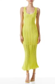 Alice Olivia Veronique Pointelle Knit Dress in Lemon Sorbet  at Nordstrom